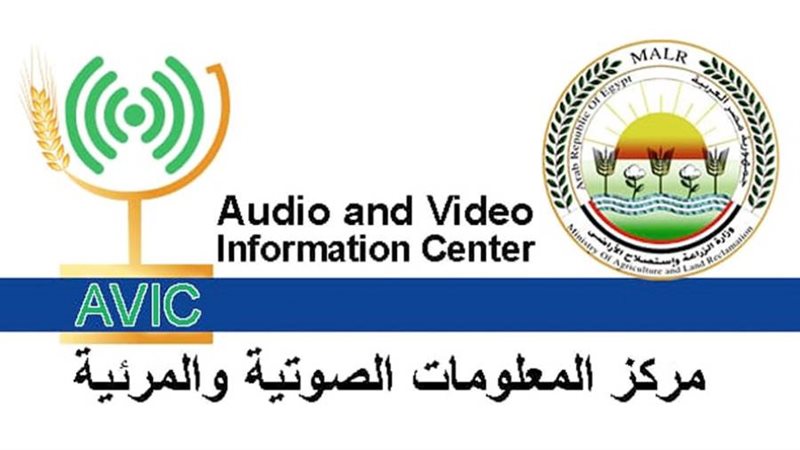 مركز المعلومات الصوتية