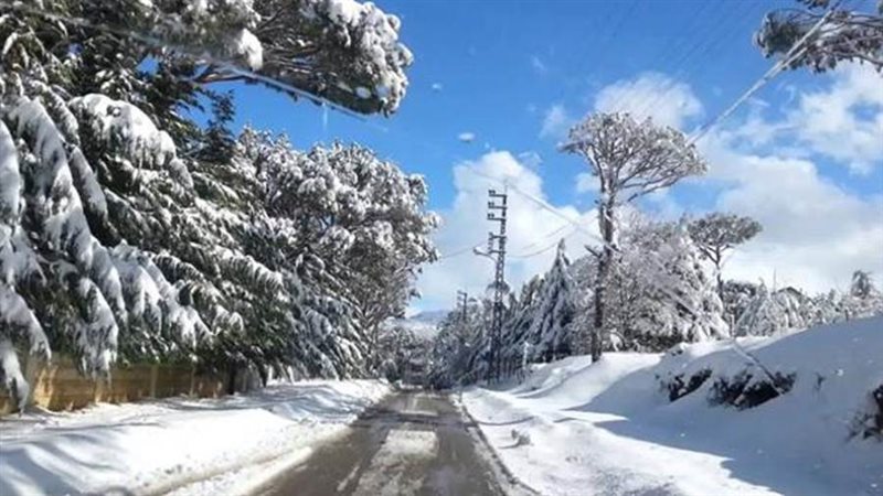 العاصفة دانيلا