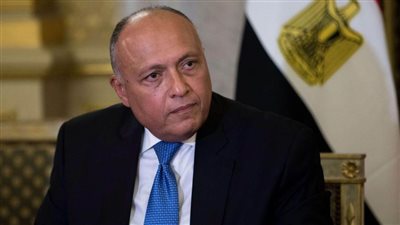 شكري يجتمع مع وزير الخارجية السعودي قبيل أعمال لجنة المتابعة والتشاور السياسي