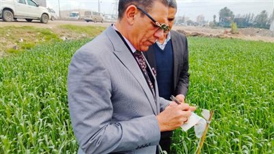 وكيل وزارة الزراعة بالبحيرة يتفقد محصول القمح بمركز دمنهور