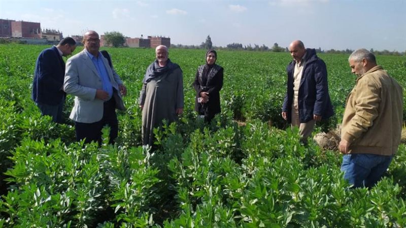 حملاته الإرشادية