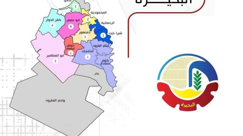 نائب محافظ البحيرة