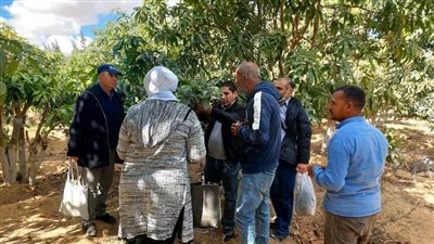 قافلة الجامعة الشاملة إلى محافظة السويس تقدم خدماتها الطبية لـ910 مستفيدين