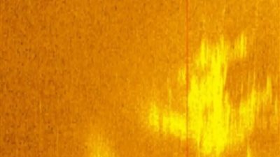 عاجل.. العثور على حطام طائرة أميليا إيرهارت في المحيط الهادئ