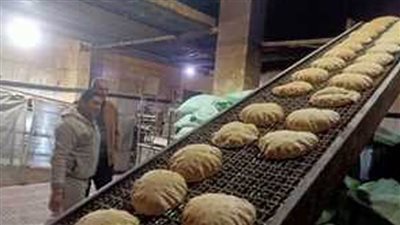 محافظ كفر الشيخ: تحرير ١٩٩ محضرا متنوعا خلال حملات تموينية على المخابر والأسواق