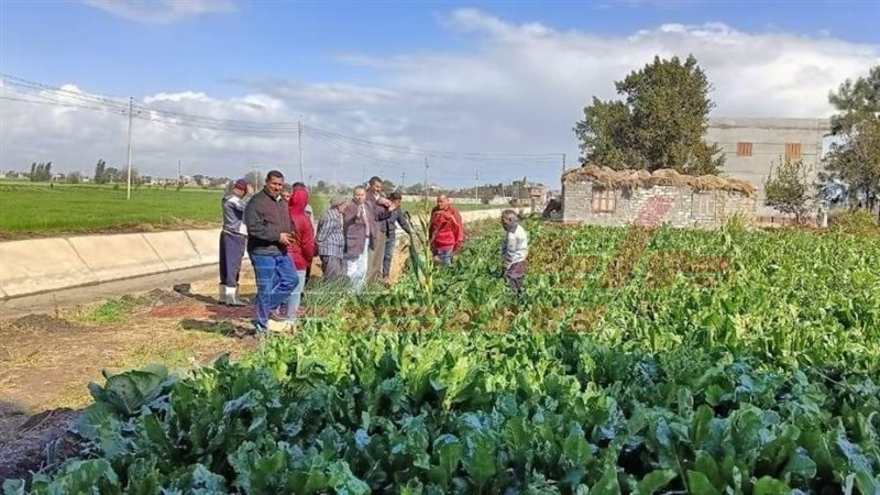 القافلة الزراعية