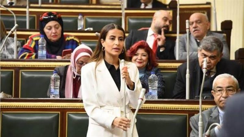 النائبة إيلاريا حارص