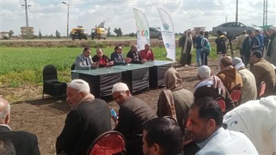 الإرشاد الزراعي بالبحيرة ينظم لقاء مع صغار المزارعين ضمن مبادرة 