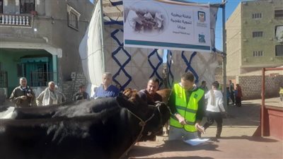 مصر الخير تنظم 6 قوافل بيطرية بقرى مركزي ديروط والبداري بأسيوط