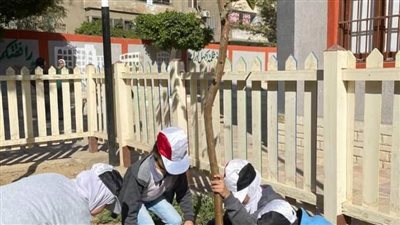 البيئة تشارك في حملة زراعة 300 شجرة مثمرة بعدد من المدارس بمحافظة القاهرة