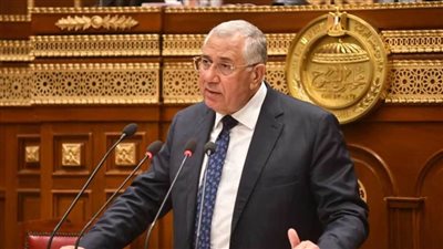 عاجل.. القصير أمام الشيوخ: نهضة ودعم غير مسبوقين من القيادة السياسية لقطاع الزراعة خلال العشر سنوات الماضية