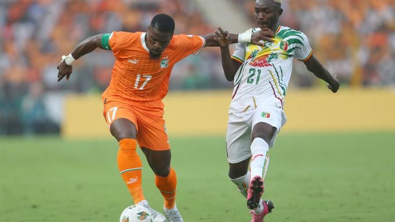 الأفيال تصطاد النسور