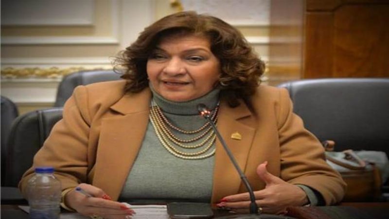 النائبة إيفلين متي