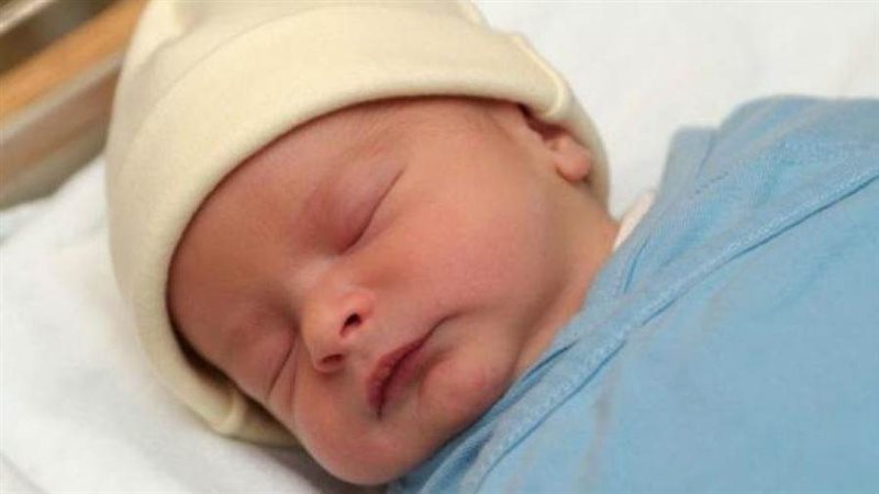 تزايد نسبة المواليد