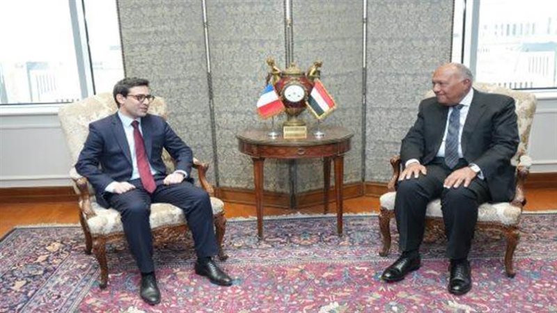 سامح شكري ووزير خارجية