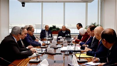 وزيرا النقل وقطاع الأعمال يبحثان التعاون المشترك لتوطين صناعة الأتوبيسات في مصر