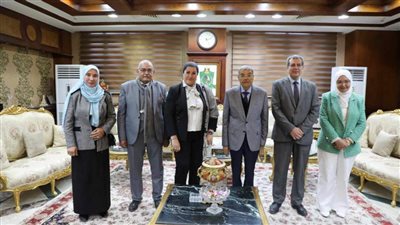 محافظ المنيا يبحث مع وفد وزارة الصحة إطلاق برنامج 