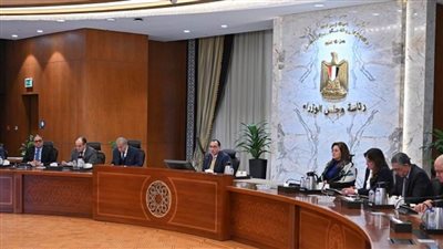 عاجل.. رئيس الوزراء: الدولة  تتخذ إجراءات لحل نقص وارتفاع بعض أسعار السلع