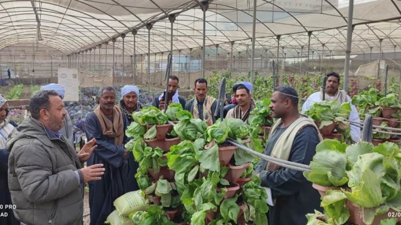 جانب من التدريب