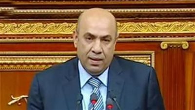 برلماني :الرئيس حريص علي محدودي الدخل ورفع الأجور جاء في توقيت مناسب