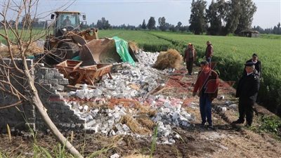 الموجة الـ22 تنفذ 23 قرار إزالة على أملاك الدولة بمساحة 18 قيراطًا بسيدي سالم