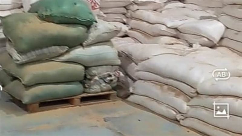 تموين الإسكندرية: