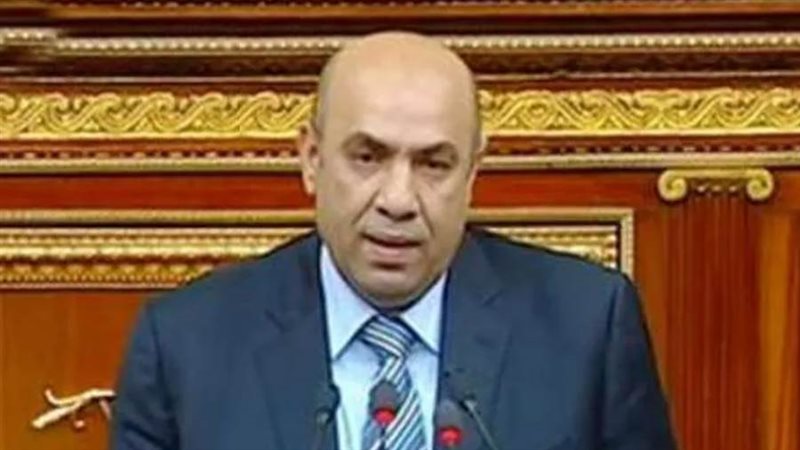 النائب علاء عبدالنبي