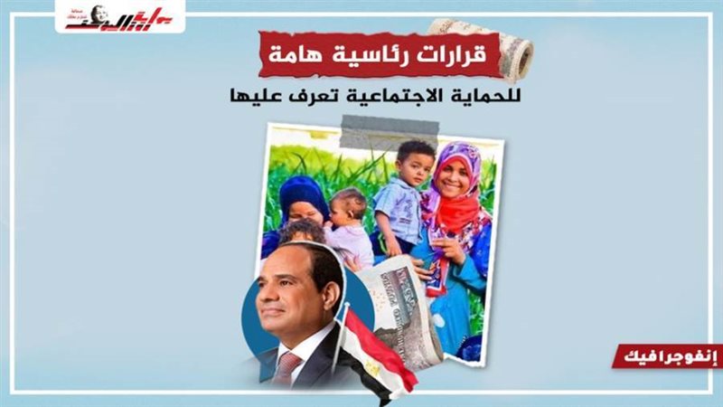 قرارات الرئيس للحماية