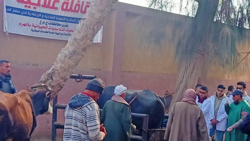 جانب من القافلة البيطرية