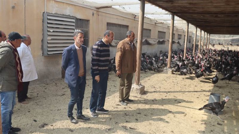 مشروعات الرومى ببنى