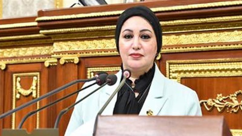 النائبة سولاف درويش