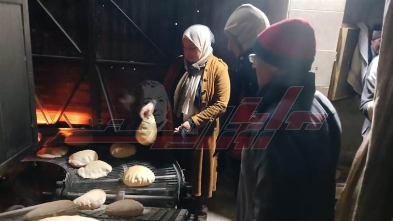 الحملات الرقابية