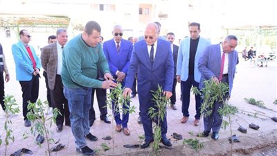 تنفيذًا للمبادرة الرئاسية 100 مليون شجرة.. النعماني يستكمل زراعة أشجار الزينة بجامعة سوهاج