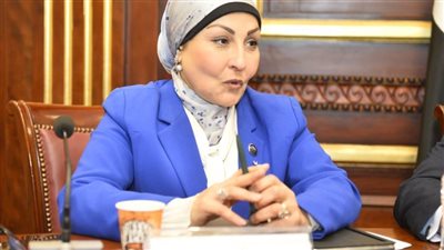 وكيل مشروعات النواب تطالب بتأهيل وتدريب الموارد البشرية حتي يتم تصديرها ويكون لها مردود إيجابي