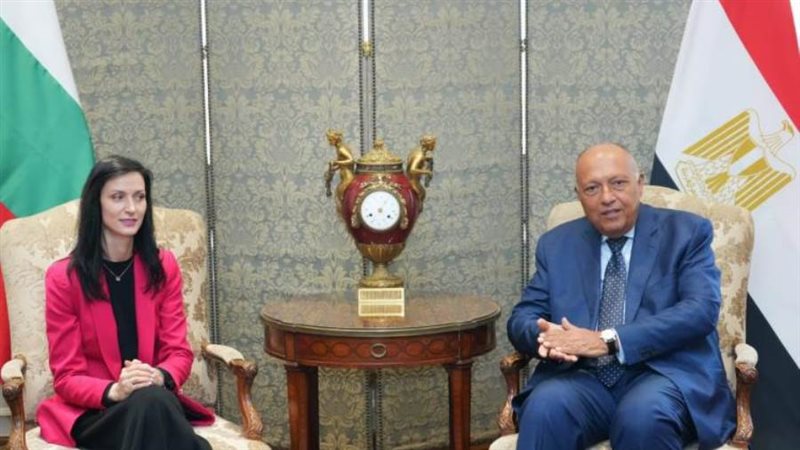 وزير الخارجية سامح