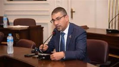 عضو بالشيوخ: قصف رفح الفلسطينية يؤكد خطة إسرائيل لتهجير الأشقاء وتصفية القضية