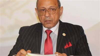 الحركة الوطنية: الموقف المصري تجاه القضية الفلسطينية واضح وثابت