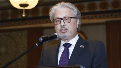 سفير صربيا لدى القاهرة: العلاقات مع مصر دخلت العصر الذهبي بزيارة السيسي لبلجراد