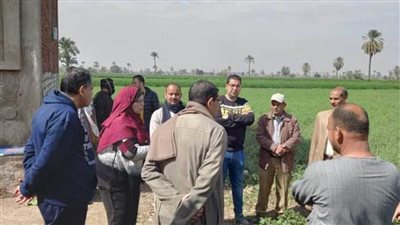 زراعة بني سويف تتصدى لخنفساء البنجر السلحفائية
