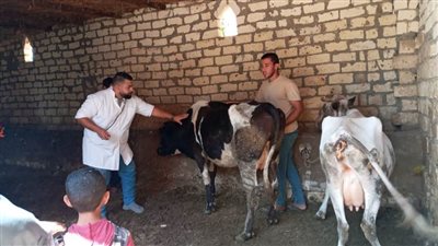 حفاظًا على الثروة الحيوانية والداجنة.. نشاط كبير لمديرية الطب البيطري خلال شهر يناير ٢٠٢٤