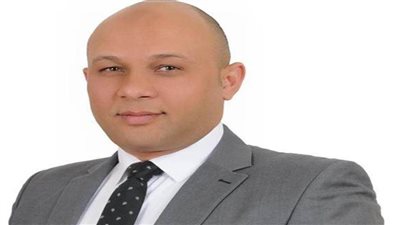  مبادرة من المصريين بالخارج بإنشاء شركة لزراعة القمح ودعم المصانع المتعثرة