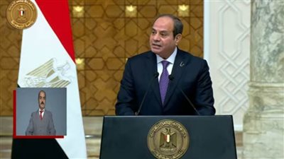 السيسي: اتفقت وأردوغان على ضرورة وقف إطلاق النار بشكل فوري في غزة