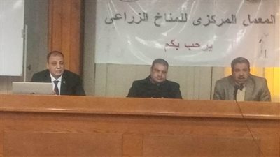 باحثون: الصادرات الزراعية تلعب دورًا إيجابيًا في الدخل القومي