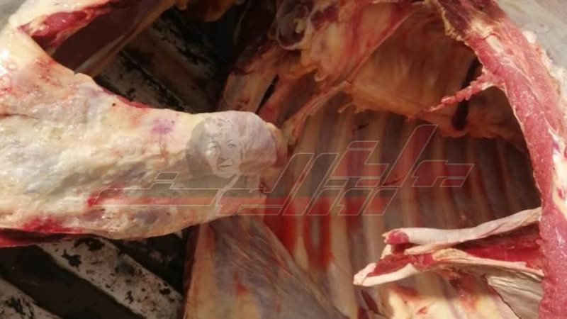 اللحوم المضبوطه