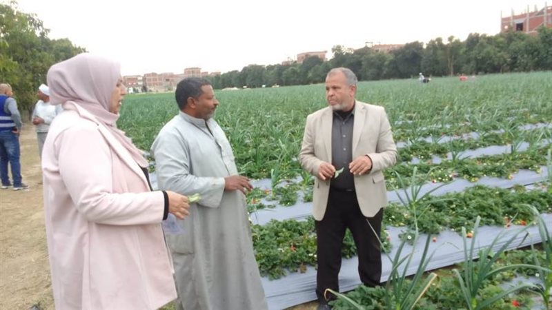 بوابة روز اليوسف