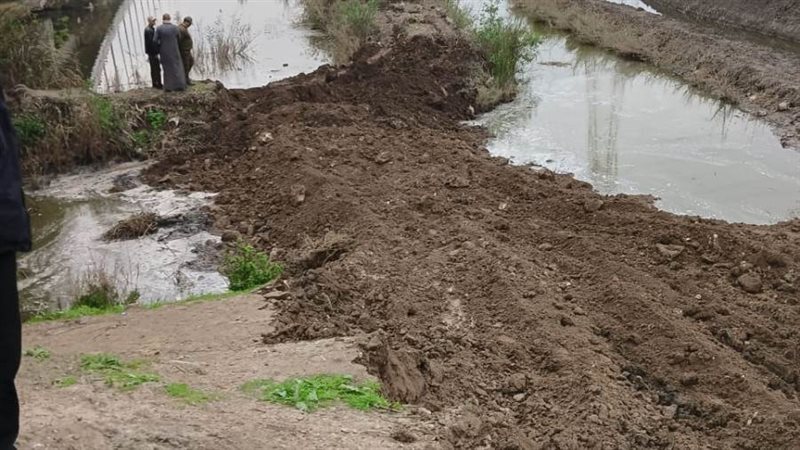 إزالة 4 حالات تعد