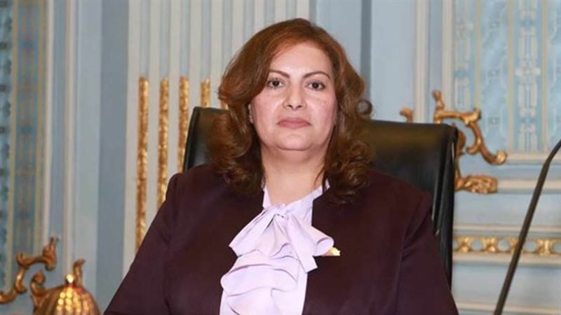 النائبة الدكتورة