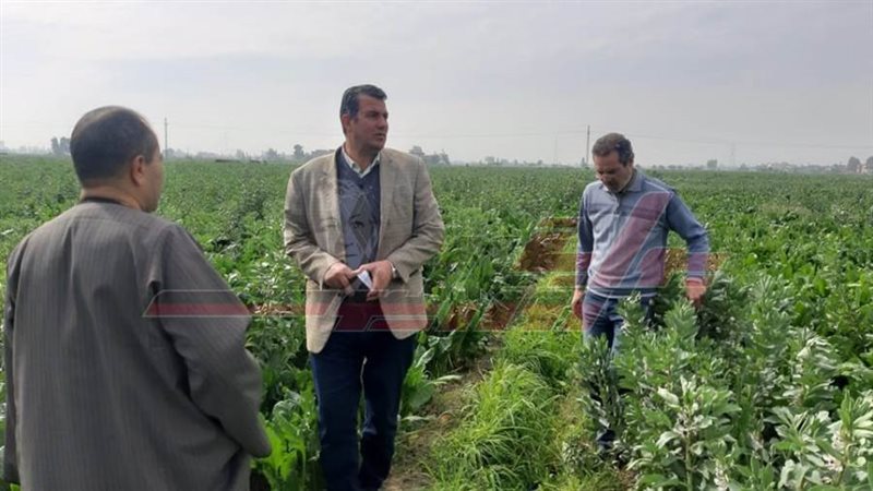 المرور علي الزراعات