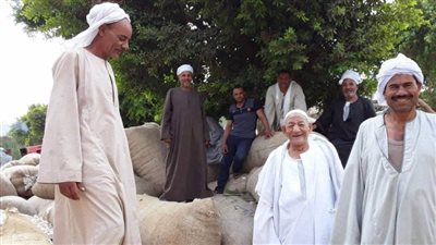 الزراعة: قنطار القطن سجل 16 ألف جنيه في المزاد الـ١١ 