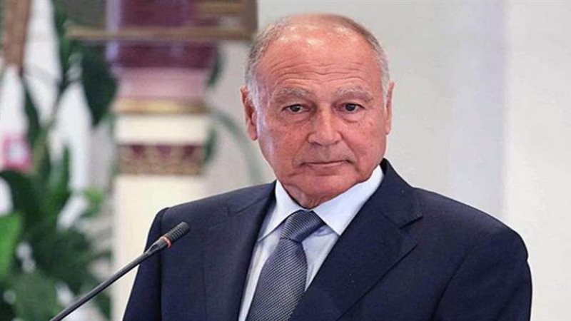 أحمد أبو الغيط أمين